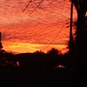 Meet your Posher, Joyce